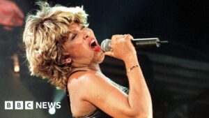 Read more about the article A lost song from Tina Turner’s Private Dancer has been rediscovered