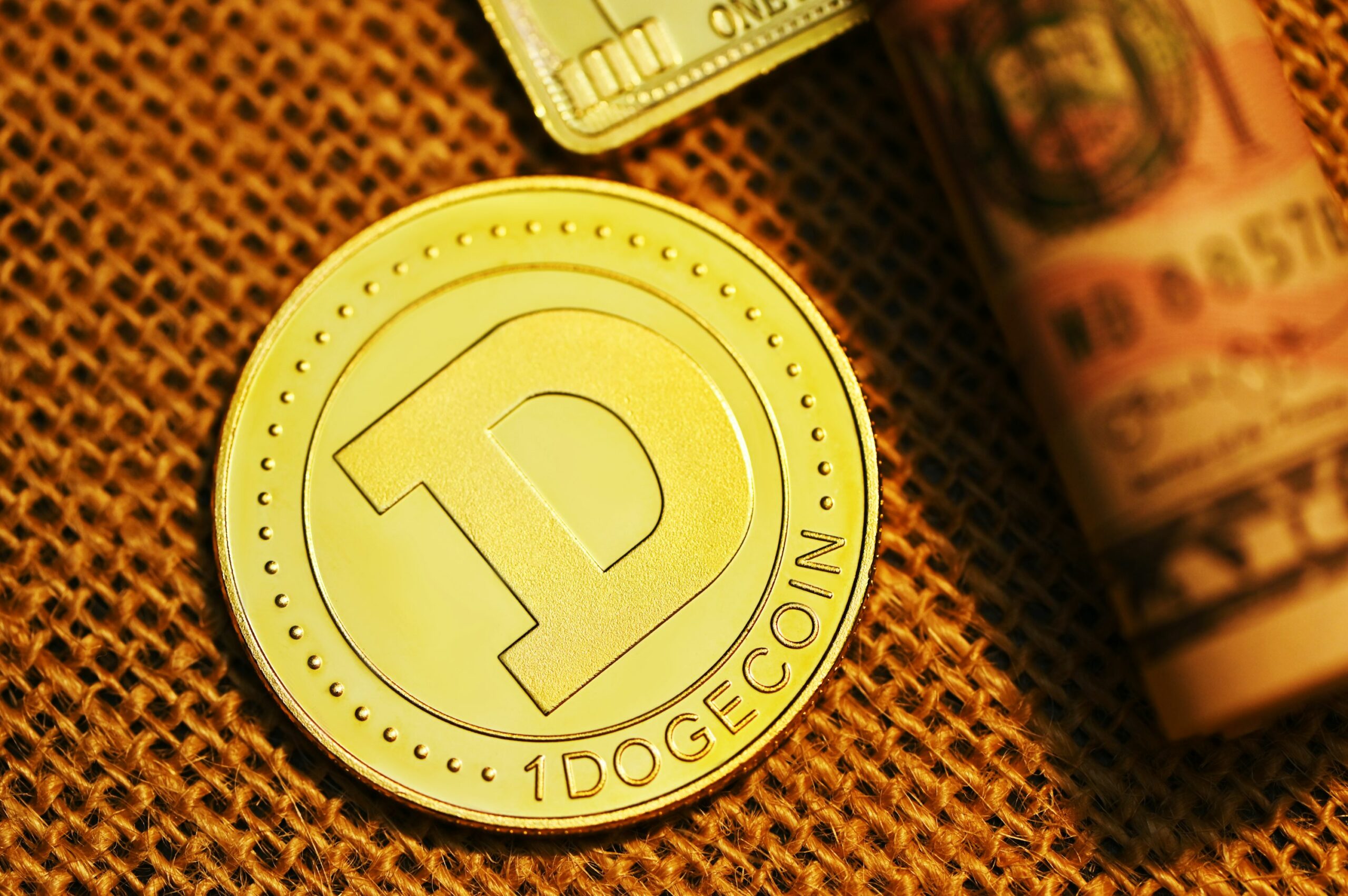 You are currently viewing Why Did The Dogecoin Price Crash To $0.31?