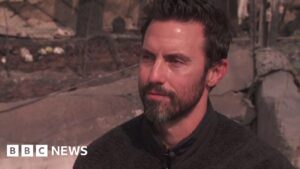 Read more about the article Heroes actor Milo Ventimiglia loses home in fires