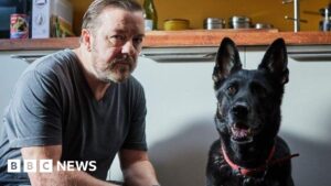 Read more about the article Ricky Gervais tribute after Herefordshire-born dog from After Life dies