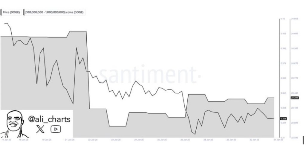 You are currently viewing Dogecoin Whales Go Ham As They Buy 560M DOGE In One Week