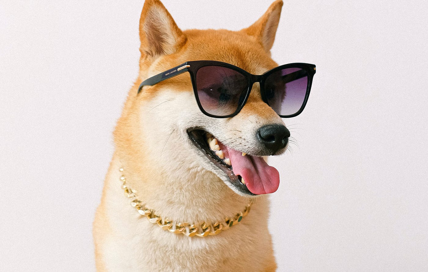 You are currently viewing Dogecoin Adoption Grows As Canadian Blockchain Firm Buys 1 Million Tokens