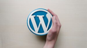 Read more about the article WordPress Foundation bid for greater trademark control halted, adding to more legal setbacks for CEO Matt Mullenweg