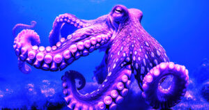 Read more about the article Kraken secures MiFID license to offer derivatives trading in EU